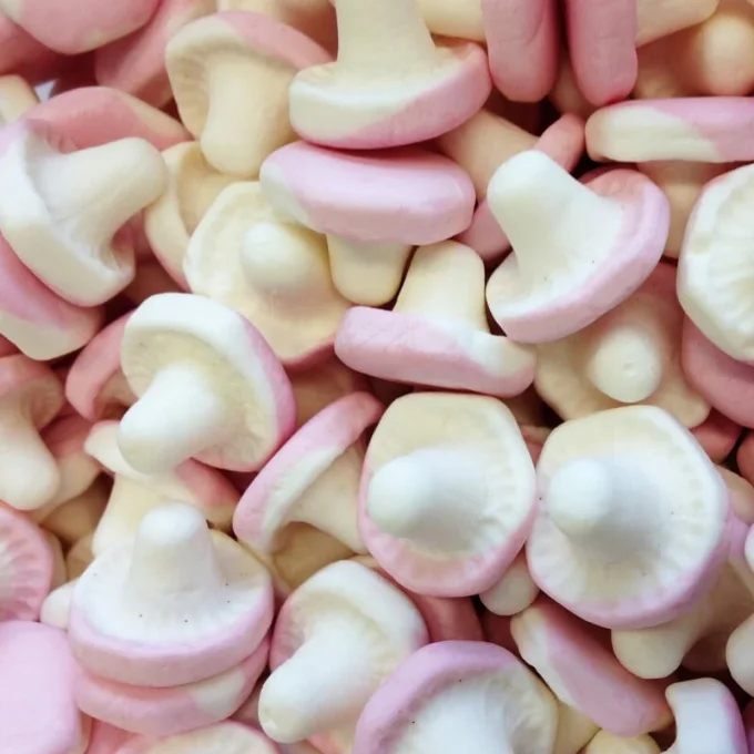 Mini champignon bonbon moelleux bicolore pour candy bar anniversaire