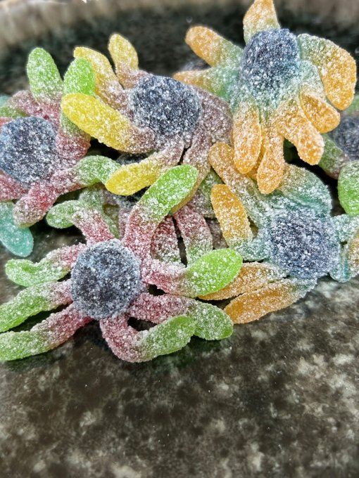 Pieuvre Acide Trolli bonbon gélifié acidulé pour candy bar halloween anniversaire et fête