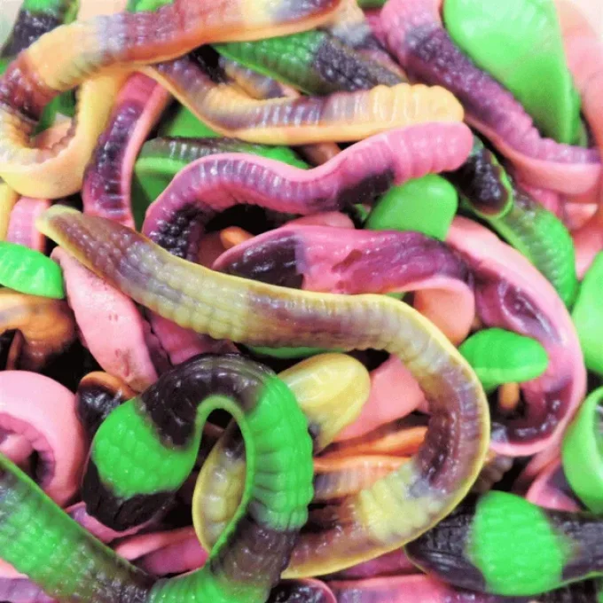 Serpents Géants Vidal bonbon géant fruité pour anniversaire candy bar et fête
