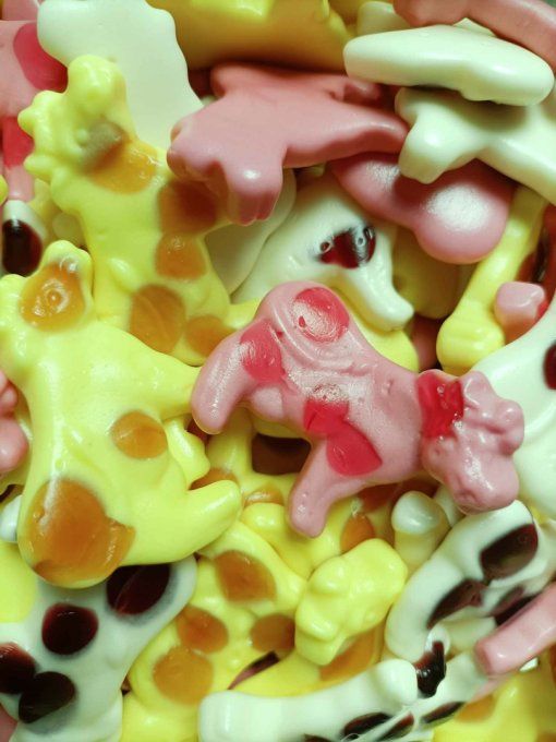 Vaches au Lait Trolli bonbon gélifié tendre fruité pour candy bar anniversaire et fête
